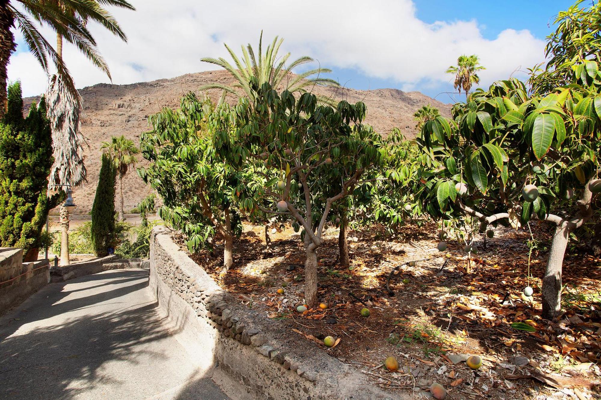 El Granero Paraiso Del Molinero Mogan Bagian luar foto